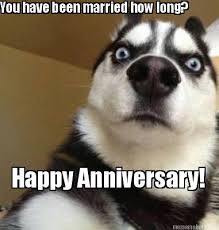 Here are some fabulous happy anniversary gif funny that you can send to the loved ones to make their day memorable. 50 Funny Anniversary Memes Gif S And Images The Random Vibez