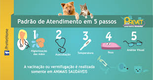 Portanto, preste bastante atenção aos países onde você irá pousar. Padrao Vacinacao Cachorro Gato Prevet Veterinaria