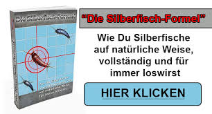 Auf der ganzen welt finden sich bis zu 470 verschiedene arten von fischchen. Woher Kommen Silberfische Silberfische Loswerden