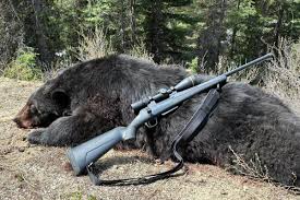 Image result for President XP-400