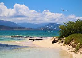 Les bureaux ouvriront de nouveau dès le lundi 11 janvier 2021 à 7h30. La Nouvelle Caledonie Choisit Une Nouvelle Fois La France Mais Le Oui A L Independance Progresse