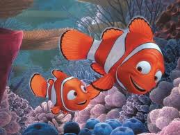 Eur 18,27 a eur 19,42. Ø£Ù†Ø¯Ø±Ùˆ Ù‡Ø§Ù„ÙŠØ¯Ø§ÙŠ Ù…Ø¯Ù…Ù† Øµ Costume Carnevale Nemo Psidiagnosticins Com
