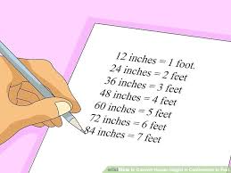 printable height chart inches to feet futurenuns info