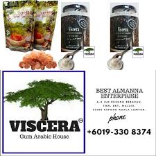 The gum is got from wild trees throughout the sahel from senegal to somalia. Viscera Serbuk Gum Arab