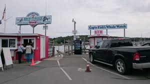 Maybe you would like to learn more about one of these? The Guide To The Best Whale Watching In Maine Legacy Properties