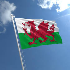 Meaning and history of this flag can be gleaned through this historyplex article. Small Wales Flag For Sale Buy Small Welsh Flag The Flag Shop