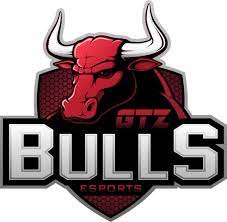 Hang large from your truck, car and suv or drop short off your motorcycle, atv and bicycle! Gtz Bulls Esports Liquipedia Hearthstone Wiki