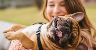 1) мне нужно приобрести растительного масла, сахару и кило мяса. Dog Sitting Tout Ce Qu Il Faut Savoir Avant De Garder Un Chien Voyager Et Jouer Avec Son Chien Wamiz