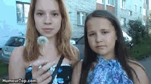 Image result for tbn:Z_XyLVGl0ZUU6M::www.palvoice.com/forums/imgcache08/1349.gif