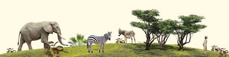 Gepflegte tiergehege und schöne spielplätze garantieren einen unterhaltsamen aufenthalt. Willkommen Zoopark Erfurt