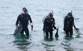 Check spelling or type a new query. 9 Cost Effective Wetsuit Maintenance Tips For Scuba Divers Sdi Tdi Erdi Pfi