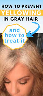 All You Need To Know About Yellowing Gray Hair Grey Hair Yellowing Shampoo For Gray Hair Grey Hair Turning Yellow