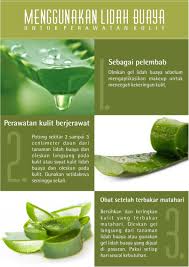 Menggunakan Lidah Buaya Untuk Perawatan Kulit 1 Sebagai Pelembab 2 Perawatan Kulit Berjerawat 3 Obat Sete Perawatan Kulit Perawatan Kulit Alami Diet Detoks
