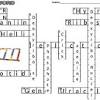 Genetics vocabulary crossword worksheet printable worksheets and. 1
