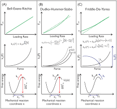 Roslan liderliğindeki bir grup özel polis birimi, asyraff adında bir adamın liderliğindeki bir soygun çetesini yakalamaya çalışmasını. The Physics Of Pulling Polyproteins A Review Of Single Molecule Force Spectroscopy Using The Afm To Study Protein Unfolding Iopscience