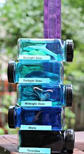 Ocean Zones For Kids Layers Of The Sea Science Project Layers Of The Ocean Ocean Zones Science For Kids