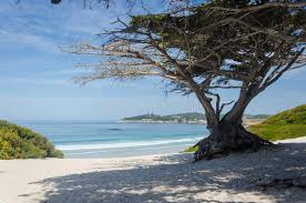 Carmel River State Beach Stockbild Bild Von Landschaft 40651241