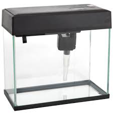 The excellent quality of work and professionalism of the staff far exceeded my expectations. Buy Aa Aa270lgk 12 V High Power Led Glass Tank 29 27 5 14 Cm 8 L Black Online In Dubai Uae Ace