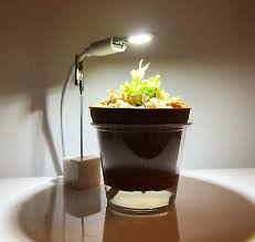 Indoor Light Kit W Usb Grow Light For Venus Flytrap Plant Not Included Ebay