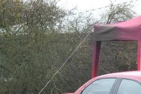 Image result for Grigio Magnesio 2012 Giulietta