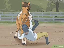 3 Ways To Be A Good Horse Rider - Wikihow Pet