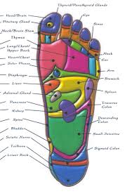 diagram of bottom of foot for reflexology wiring diagram