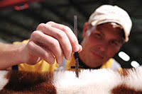 Udder ethics reaches 20-year milestone