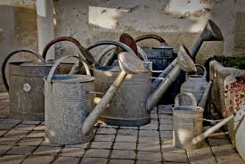 Watering Can Wikipedia