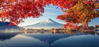 Find a teaching a foreign language in japan opportunity. Teach English In Japan Guide 2021 Jobs Teach Away