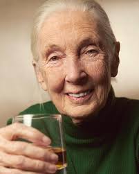 BLACK FRIDAY SALE: Places with Feelings​​​​​​​​ ​​​​​​​​ Featured Image:  Wild Horses, 2022​​​​​​​​ ​​​​​​​​ I am slowly making my way through some  of my all-time most cherished images, and growing my new collection: