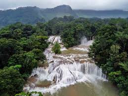 He knows a lot of places where people. The Best Waterfalls Near Palenque Mexico Out There