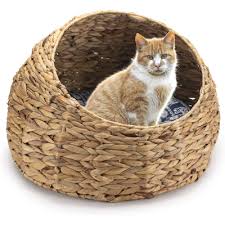 Petpals cat tree cat tower for cat activity with scratching postsand toy ball,gray (perch) 4.5 out of 5 stars 1,655. Hanging Wicker Ball Cat Bed Pasteurinstituteindia Com