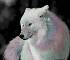 The best gifs are on giphy. Apophenia Dusum Dancing Fur An Animation Of A White Wolf