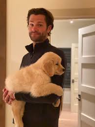 Maybe you would like to learn more about one of these? Jared Padalecki Jarpad Twitter