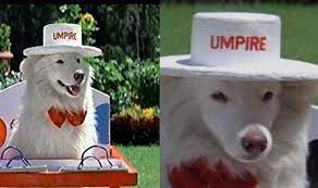 Here are 5 reasons why Tuffy from &#39;Hum Apke Hain Kaun&#39; had the toughest life in the film | Catch News