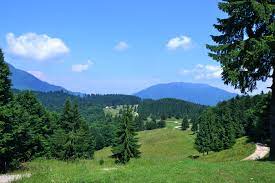 We did not find results for: Valea Prahovei VacanÈ›Äƒ La Munte Descoperalocuri Ro