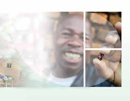 Building an Eco-Efficient Future