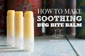 Any bug bite can become infected, especially if it is scratched or it leaves an. How To Stop Bug Bites From Itching