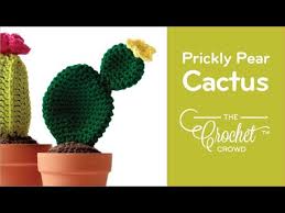 While winter is not over, why not help things along with some permanent amigurumi plants? How To Crochet Cactus Prickly Pear Easy The Crochet Crowd Youtube