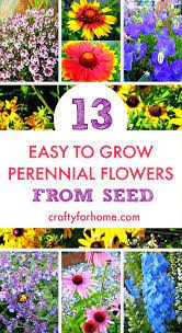 13 Easy To Grow Perennial Flower From Seed Crafty For Home Easy To Grow Flowers Easiest Flowers To Grow Partial Shade Perennials