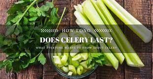 How Long Does Celery Last What Everyone Wants To Know About Celery