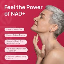 Amazon.com: Suplemento NAD+ para mujeres, alternativa NMN con β-NAD+,  Trans-Resveratrol, CoQ10, D-Ribosa