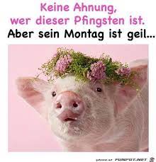 Foto impressive lustige blumenbilder motiviere dich, in deinem room verwendet zu werden sie können dieses bild verwenden, um zu lernen, unsere hoffnung kann ihnen. Schone Digitalbilder Bei Funpot Bilder Entdecken Die Dir Den Atem Rauben