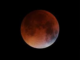 Solar eclipse can occur only in the new moon phase of the moon. Solar Eclipse 2021 When Is The Next Solar And Lunar Eclipse In India Date Time And Visibility Details
