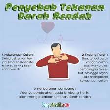 Tekanan darah rendah dapat disebabkan oleh beberapa kondisi, seperti dehidrasi, alergi, dan kehilangan darah akibat kecelakaan. Tanda2 Tekanan Darah Rendah Perbedaan Anemia Dengan Tekanan Darah Rendah Belum Tahu Tekanan Darah Rendah Atasi Dengan Jenis Makanan Ini Tyas Nasai