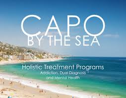 Capo By The Sea Executive Addiction And Dual Diagnosis Rehabilitation