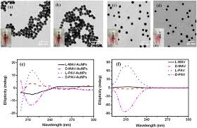 Rata de schimb valutar la zi din euro (eur) în leu românesc (ron). Surface Anchored Poly Acryloyl L D Valine With Enhanced Chirality Selective Effect On Cellular Uptake Of Gold Nanoparticles Scientific Reports