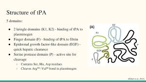 Tissue Plasminogen Activator In Stroke Treatment Ppt Download