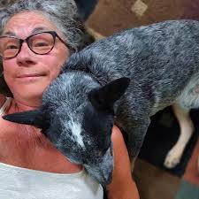 Chihuahua Jackal's adorable hugging and cuddling behavior