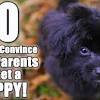 Sep 19, 2019 · write out your daily schedule and block out the times reserved just for you taking care of your dog. 1